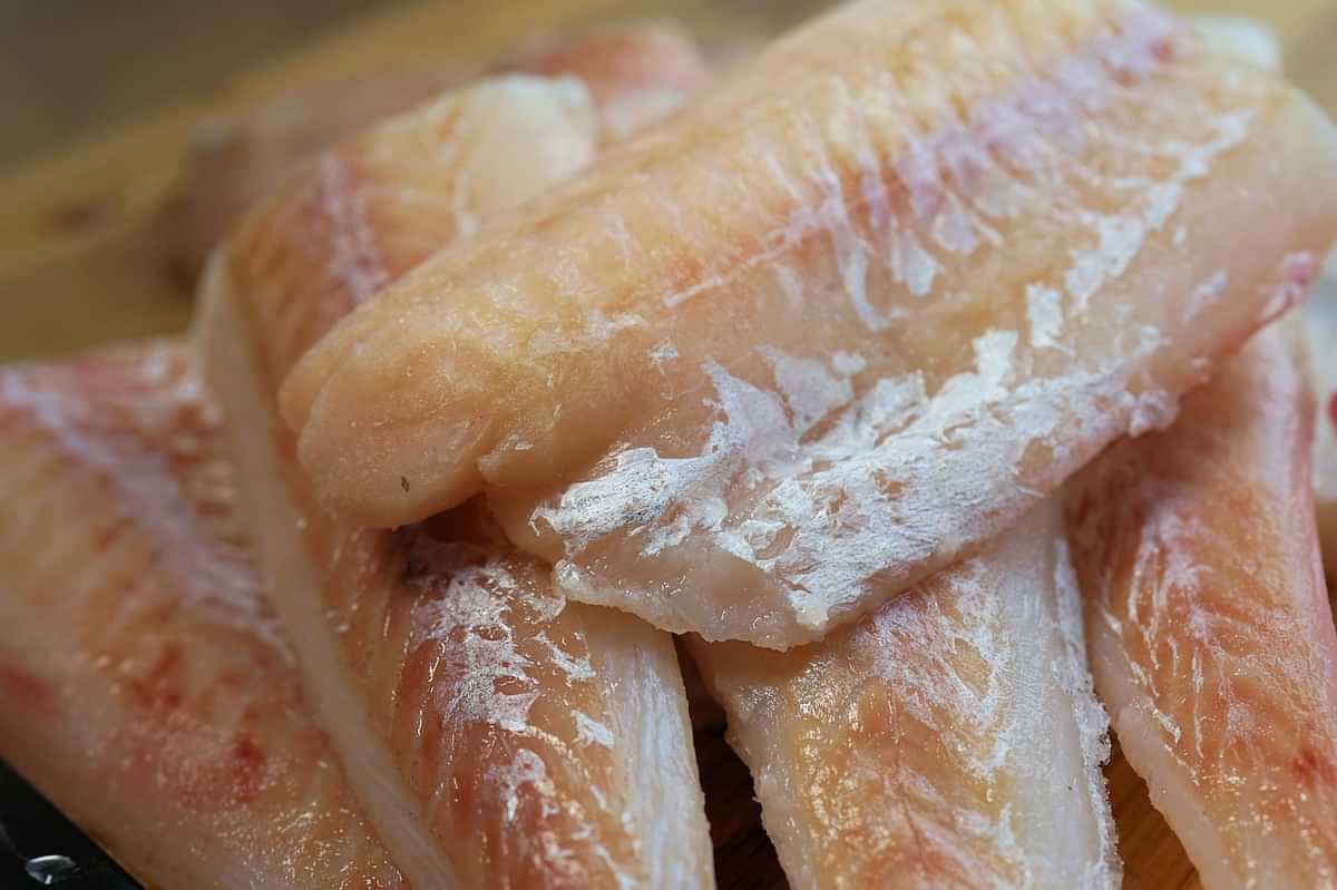 Filete de pescado fresco para un buen pescado al horno con crema